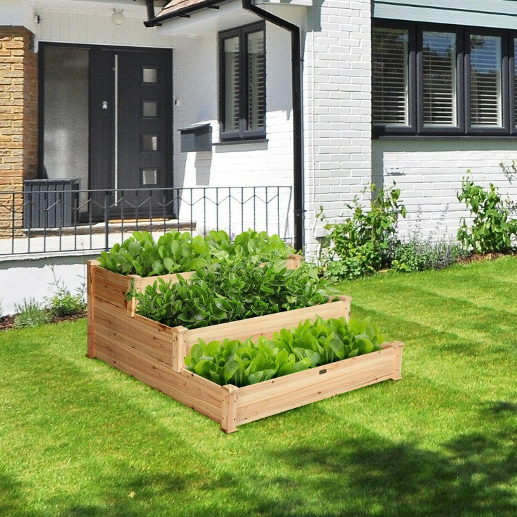 Raised Garden Beds