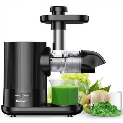 Horizontal Slow Masticating Extractor Juicer with Brush