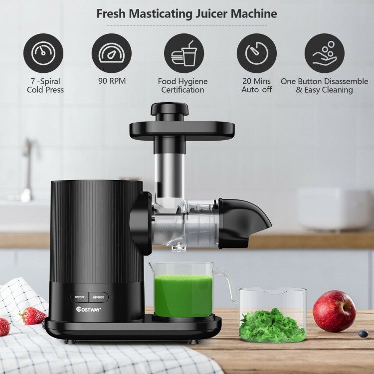 Horizontal Slow Masticating Extractor Juicer with Brush