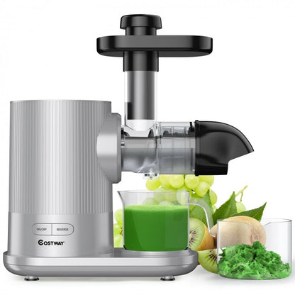 Horizontal Slow Masticating Extractor Juicer with Brush