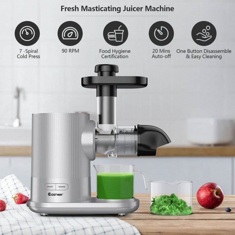 Horizontal Slow Masticating Extractor Juicer with Brush