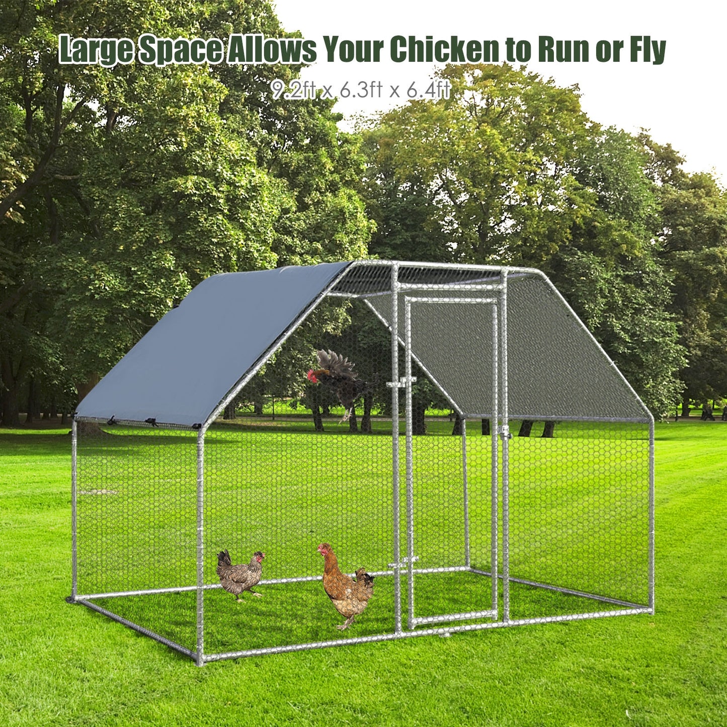 9.5 x 6.5 Feet Large Walk In Chicken Run Cage