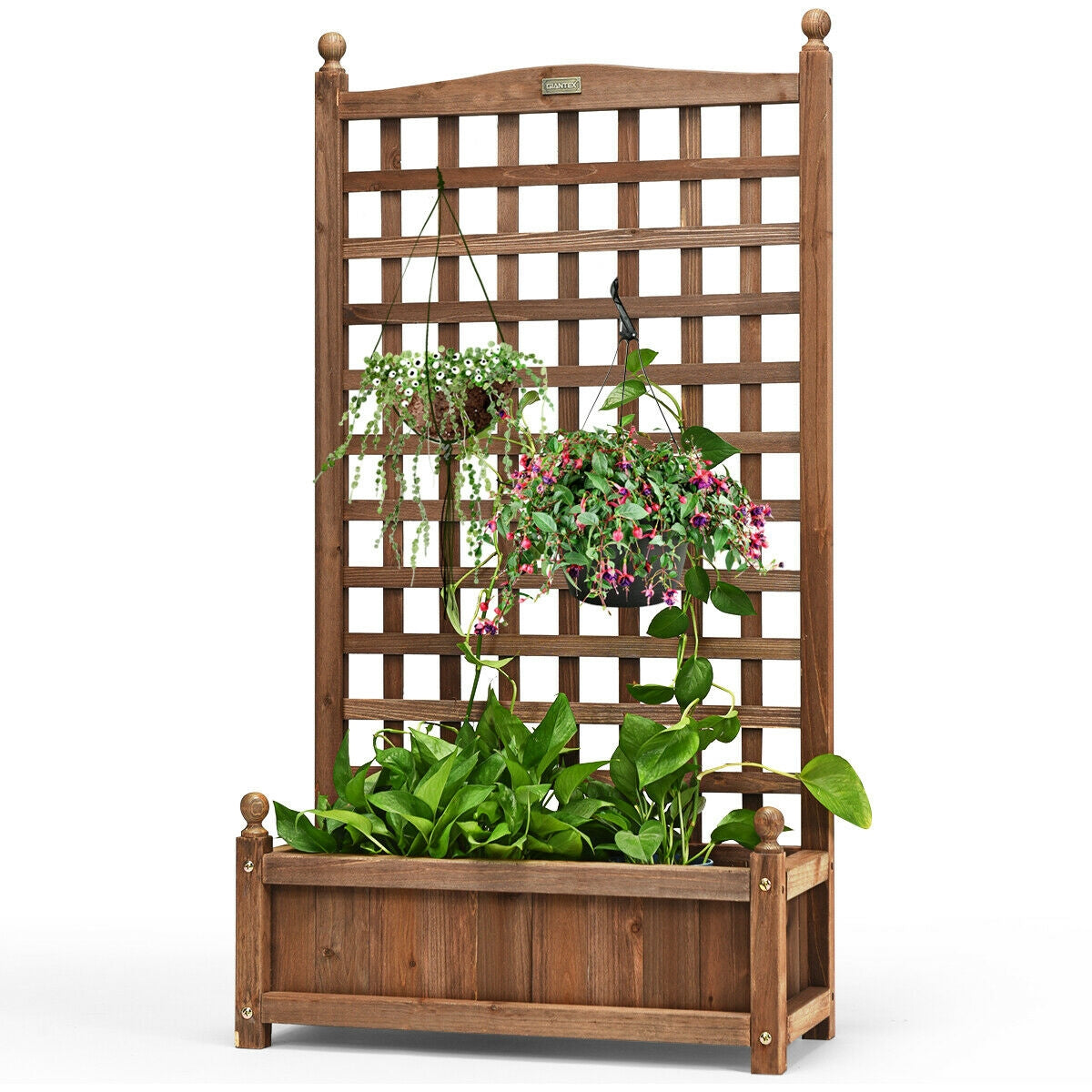 Solid Free Standing Wood Planter Box with Trellis