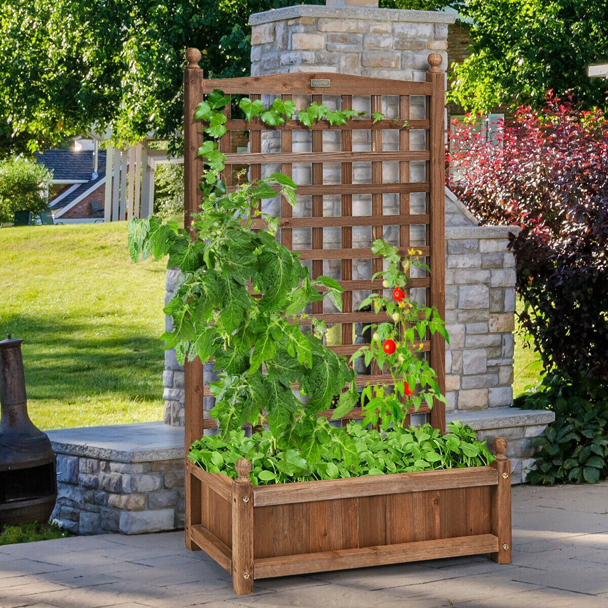 Jardinière autoportante en bois massif avec treillis