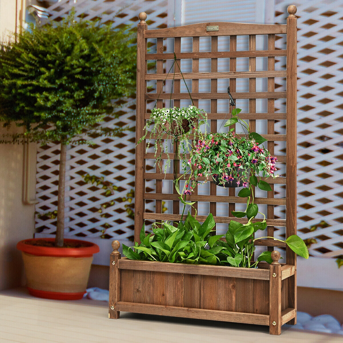 Jardinière autoportante en bois massif avec treillis