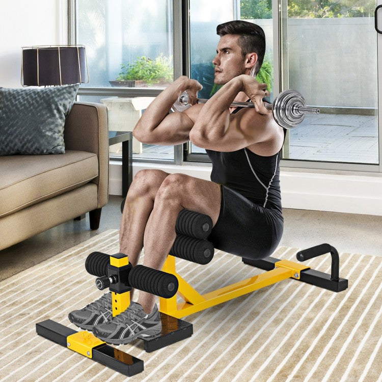 3-in-1 Sissy Squat Ab Workout Home Gym Sit Up Machine