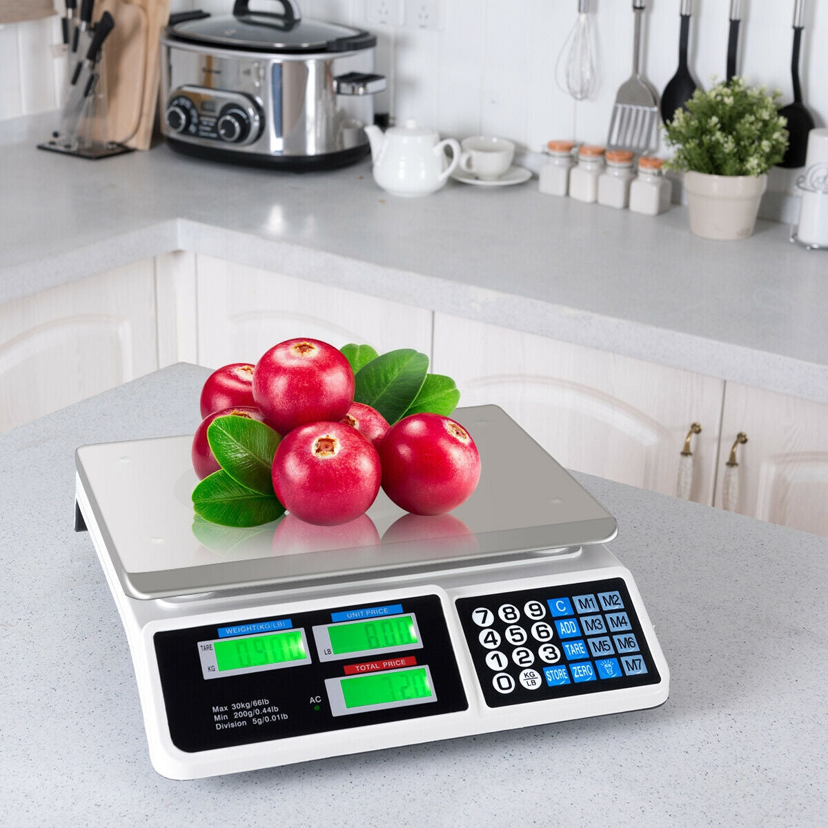 66 lbs Electronic Price Computing Scale with LCD Screen Display