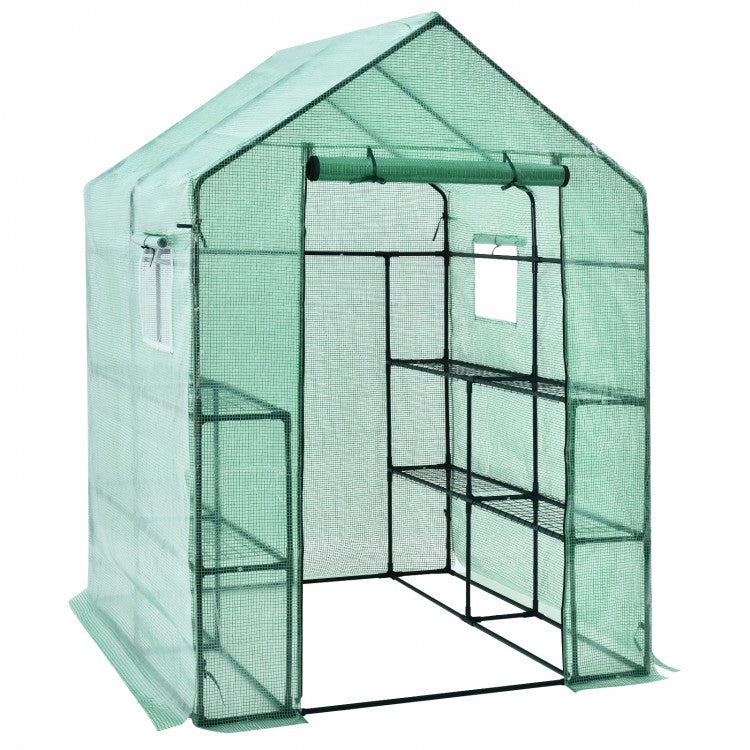 Walk-in Greenhouse 56 x 56 x 77 Inch Gardening with Observation Windows