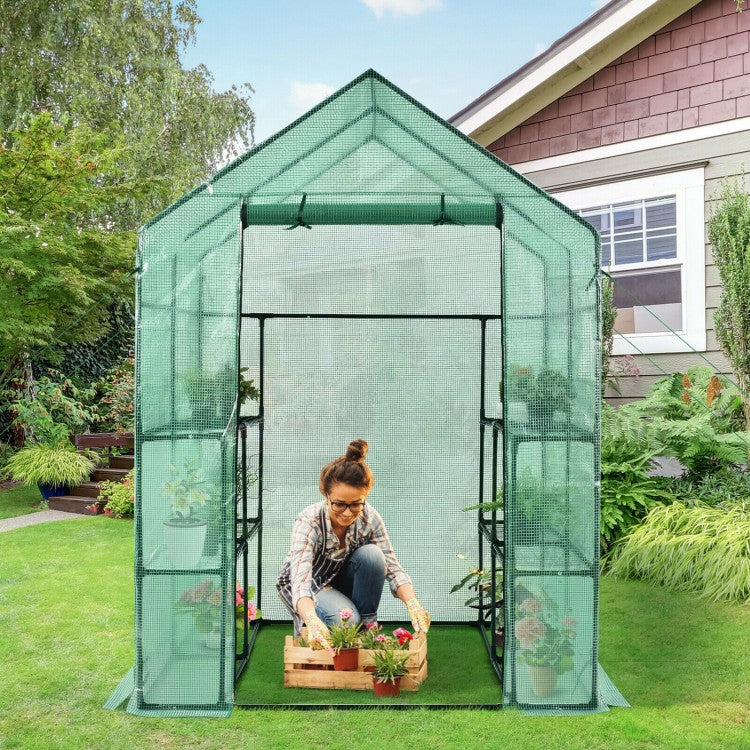 Walk-in Greenhouse 56 x 56 x 77 Inch Gardening with Observation Windows