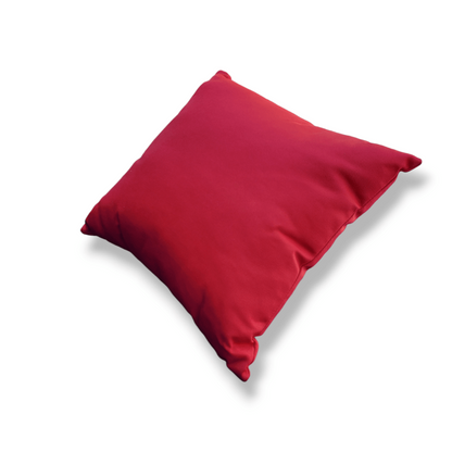 Water Resistant Throw Pillows 