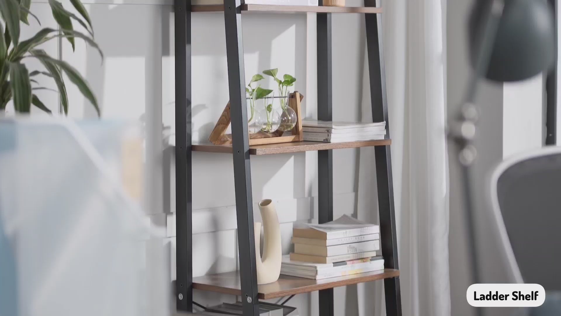 4-Tier Ladder Shelf